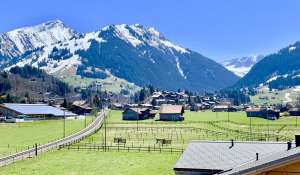 Affitto Appartamento Gstaad