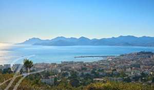 Affitto stagionale Proprietà Cannes