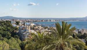 Vendita Appartamento Palma de Mallorca