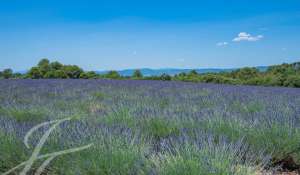 Vendita Cascina Gréoux-les-Bains