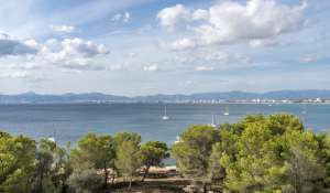 Vendita Villa Palma de Mallorca